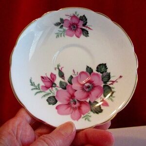 Regency Bone china light Pink wild roses saucer